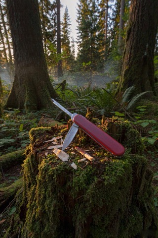 7-Function Pocket Knife